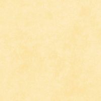 MASF513-SW2 Corn Silk Yellow