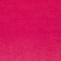 shnqcfuchsia