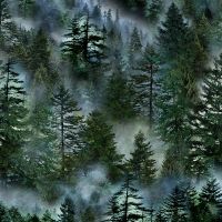ttNATURE-CD3528-FOREST