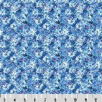 shnqcwldaisiesblue