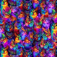 ttWSOFTIE-PD4010-MULTI