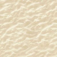 ttBEACH-CD8395-NATURAL