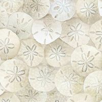 ttBEACH-CD8461-SAND