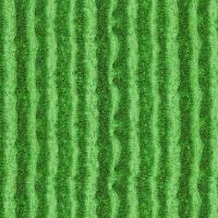 ttFRUIT-CD1138-GREEN