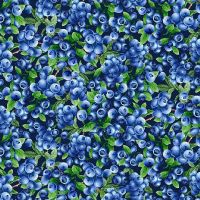 ttFRUIT-CD1746-NAVY