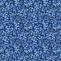 ttFRUIT-CD1748-BLUE