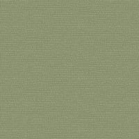 dsSTELLA-1150-IVY