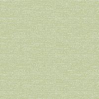 dsSTELLA-1150-REED