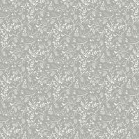 dsStella-DFN3442-Paloma