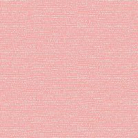 dsSTELLA-1150-APRICOT