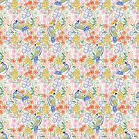 dsStella-DCJ3373-White