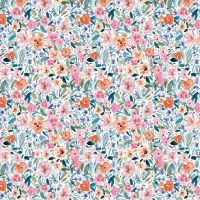 dsStella-DCJ3380-White