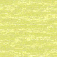 dsSTELLA-1150-ENDIVE