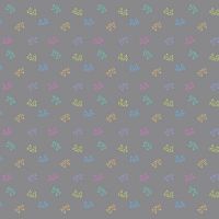 dsStella-DPJ3446-Limestone