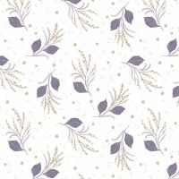 dsSTELLA_DRR3364-White