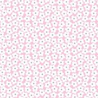 dsStella-D3455-Peony