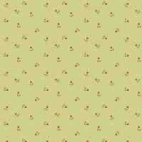 mfR791706D-Lime