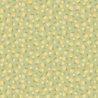 mfR161755D-Sage