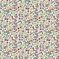 mfR351769D-Multi