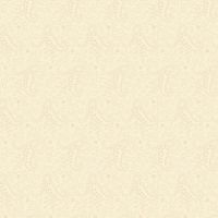mfR801678D-Cream