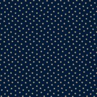 mfR221700D-Navy
