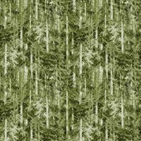 mmDCX12761-Spruce