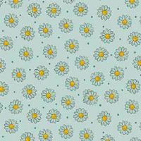 mmDDC12790_Mint