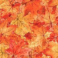 mmDDC12764_Orange