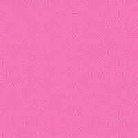 ttSPIN-CD5300-CARNATION