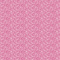 cc58250205-01