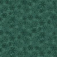 hg2529-77