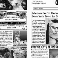 ttCAT-CD6705-NEWSPRINT