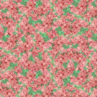 ttFLEUR-CD4195-PETAL