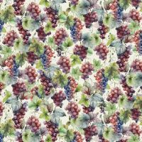 ttWINE-CD4175-CREAM