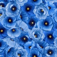 ttPOPPY-CD4162-BLUE