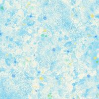 ttPOPPY-CD4169-DREAM