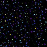 ttFLORA-CM4110-BLACK