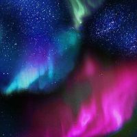 ttNATURE-CD6792-NIGHT