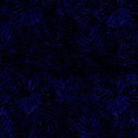 ttTONG-B3997-IRIS
