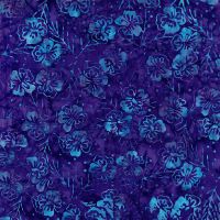 ttTONGA-B3995-DREAM