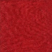 ttXTONGA-B2336-CARDINAL