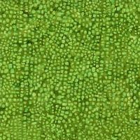 ttTONGA-B3292-LIME