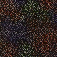 ttTONGA-B8549-BOO