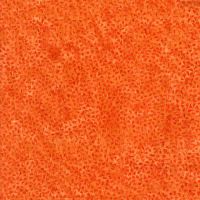 ttTONGA-B8549-PUMPKIN
