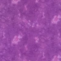 ttKIM-C6100-PETUNIA