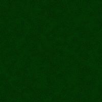 ttTWIRL-CD3890-HUNTER