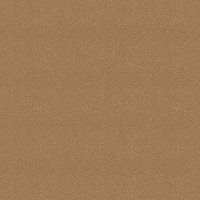 dsSTELLA-DRR2293-MOCHA