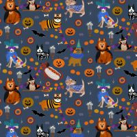 dsStella-D3521-Moonlight