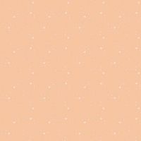 dsStella-DPJ3000-Cantaloupe