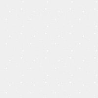 dsStella-DPJ3000-White